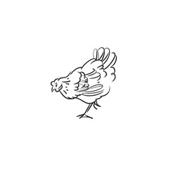 Hand drawn abstract vector graphic illustration collection with cute, stylized domestic animals rooster and hen character.Trendy modern farm design concept.Vector line farm animal symbol. animal icons