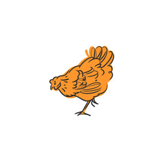 Hand drawn abstract vector graphic illustration collection with cute, stylized domestic animals rooster and hen character.Trendy modern farm design concept.Vector line farm animal symbol. animal icons