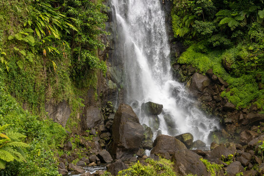 waterfall in the forest