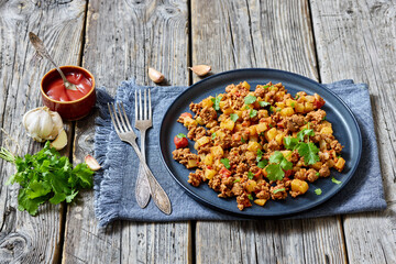 ground beef stew of potatoes and chopped tomatoes