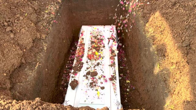 Flowers gently sprinkled onto a white coffin resting in an open grave during a solemn burial ceremony. Farewell moment.