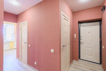 standard room interior apartment. room doors, renovation corridor lobby entrance hall