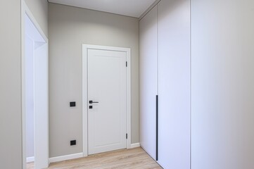 standard room interior apartment. room doors, renovation corridor lobby entrance hall