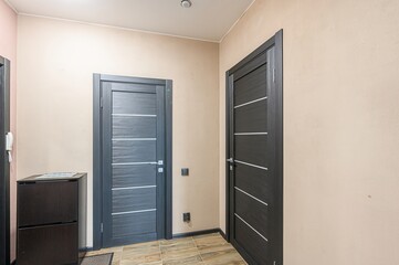 standard room interior apartment. room doors, renovation corridor lobby entrance hall