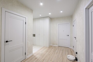 standard room interior apartment. room doors, renovation corridor lobby entrance hall