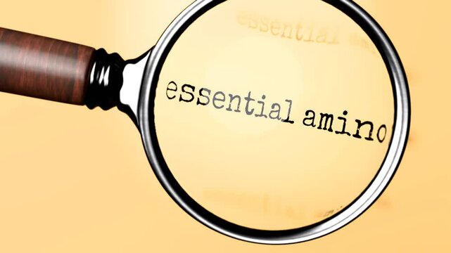 Essential Amino Acids under careful examination. Focusing on Essential Amino Acids, analyzing it, taking a closer look. Concentrating on Essential Amino Acids, searching for answers