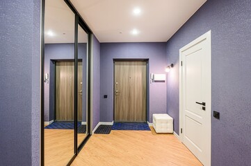 standard room interior apartment. room doors, renovation corridor lobby entrance hall