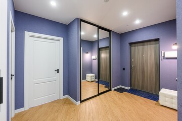 standard room interior apartment. room doors, renovation corridor lobby entrance hall