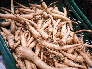 Freshly harvested roots piled together in a basket showcasing their unique shapes and textures, representing a natural and organic food concept