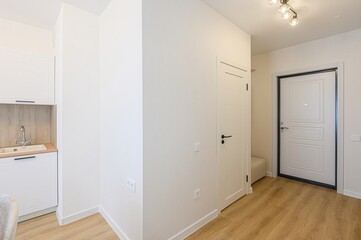 standard room interior apartment. room doors, renovation corridor lobby entrance hall