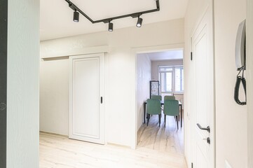 standard room interior apartment. room doors, renovation corridor lobby entrance hall