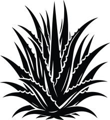 Aloe vera plant vector silhouette illustration isolated on a white background