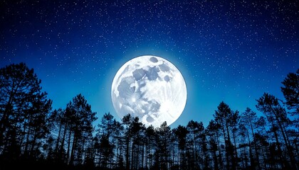 luna, noche, cielo, completo, moreno, claro de luna, azul, estrella, nube, espacio, naturaleza, alumbrado, acuático, árbol, paisaje, planeta, lunar, negro, mar, astronomía, halloween, brillante, silue