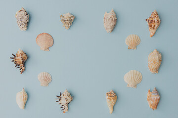 Shells arranged as a frame on light blue background for copy space or design overlay..Clean marine-themed layout ideal for summer, spa or travel concepts.