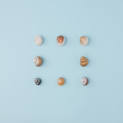 Grid of snail shells on sky blue surface for minimalist summer concept..Perfect composition for travel blogs, spa ads or eco-friendly visuals...