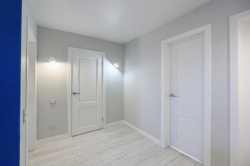 standard room interior apartment. room doors, renovation corridor lobby entrance hall