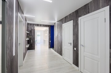 standard room interior apartment. room doors, renovation corridor lobby entrance hall