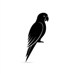 Fototapeta premium Parrot bird silhouette vector illustration on white background.