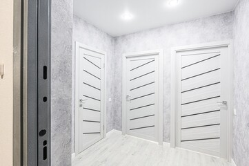 standard room interior apartment. room doors, renovation corridor lobby entrance hall