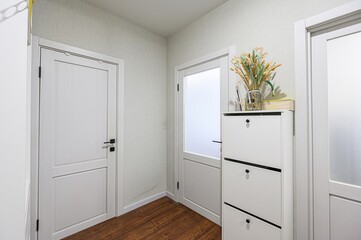 standard room interior apartment. room doors, renovation corridor lobby entrance hall