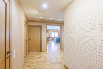 standard room interior apartment. room doors, renovation corridor lobby entrance hall