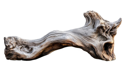 Unique Shaped Driftwood &ndash; Natural Wooden Sculpture Isolated on White Background for Decor, Art, and Nature Concepts