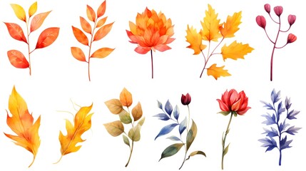 Watercolor Set of Autumn Flowers, Leaves and Branches in Rose Hues for Fall Decor