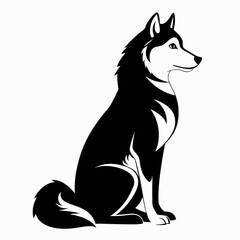 black and white wolf