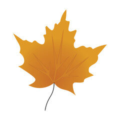 Maple Leaf (yellow)