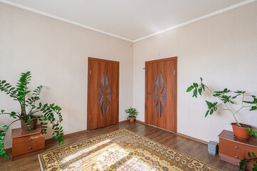 standard room interior apartment. room doors, renovation corridor lobby entrance hall