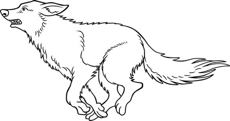 wolf line vector illustration isolated on white background