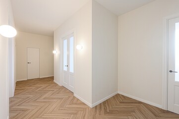 standard room interior apartment. room doors, renovation corridor lobby entrance hall