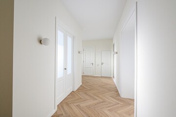 standard room interior apartment. room doors, renovation corridor lobby entrance hall