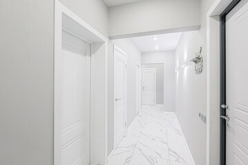 standard room interior apartment. room doors, renovation corridor lobby entrance hall