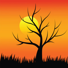 Sunset Tree Scene