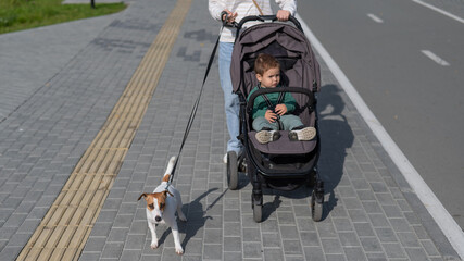 Caucasian woman walks in the park with her one-year-old son and Jack Russell Terrier dog. 