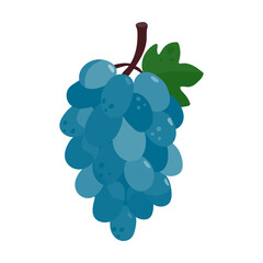 Bunch of ripe grapes with a stem and leaves.