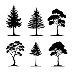Fototapeta premium set of trees