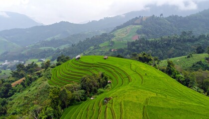 Fototapeta premium Lush green rice terraces cascade down misty mountains in Southeast Asia, offering breathtaking natural beauty and sustainable agriculture practices
