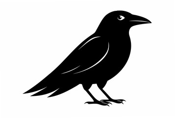 Obraz premium crow on a white background