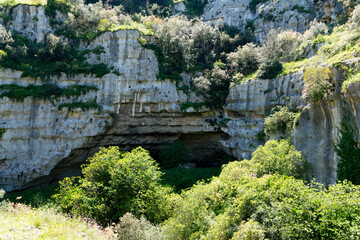 Rocky cliff with cave and lush vegetation
