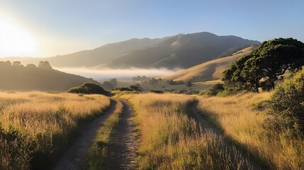 Obraz premium Photograph of a sunlit trail winding through golden grasslands and hazy hills.