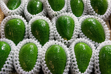 Fresh raw green avocados close up in full wooden box top view in supermarket.