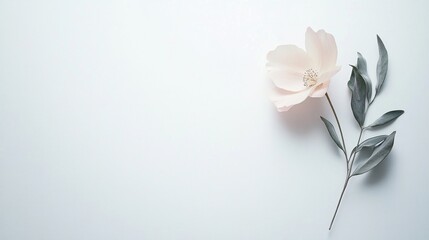Fototapeta premium Delicate pastel flower arrangement