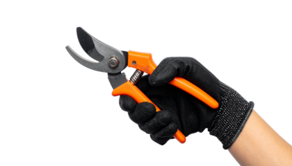 A gloved hand firmly grasping a pair of garden shears. The sharp blades gleam, ready for trimming. The glove's texture adds a touch of work