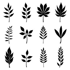 Hand-drawn black ink illustrations of branches, including isolated floral decorative elements and a collection of herb silhouettes