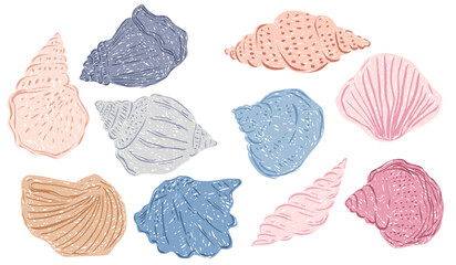 Hand-drawn crayon whimsical shell illustrations in soft pastel colors
