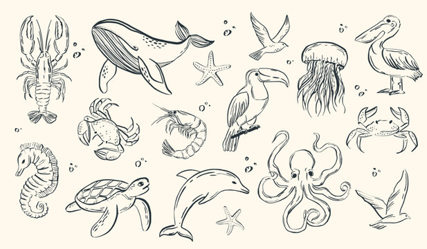 Whimsical hand-drawn crayon sea animals and fish sketches featuring vintage fish, shrimp, seashells, and squid in doodle style