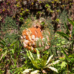 Elephant bas-relief nestled in the lush jungle of Wat Pha Lat Temple, Chiang Mai, Thailand.