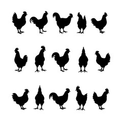 Set chicken silhouette isolated vector on white background 